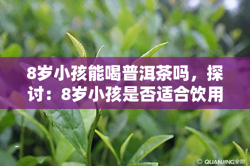 8岁小孩能喝普洱茶吗，探讨：8岁小孩是否适合饮用普洱茶？