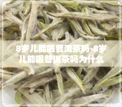 8岁儿能喝普洱茶吗-8岁儿能喝普洱茶吗为什么