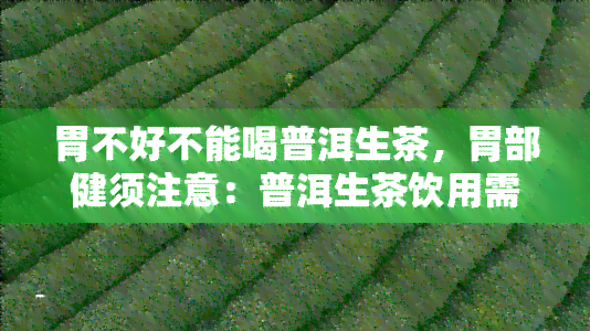 胃不好不能喝普洱生茶，胃部健须注意：普洱生茶饮用需谨！