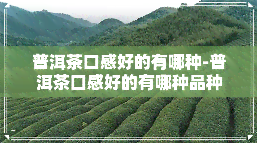 普洱茶口感好的有哪种-普洱茶口感好的有哪种品种