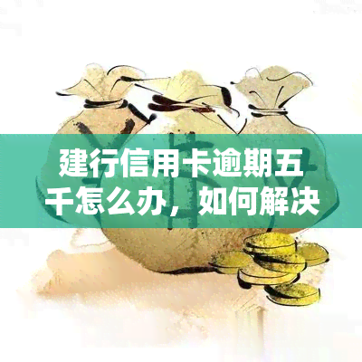 建行信用卡逾期五千怎么办，如何解决建行信用卡逾期五千的问题？