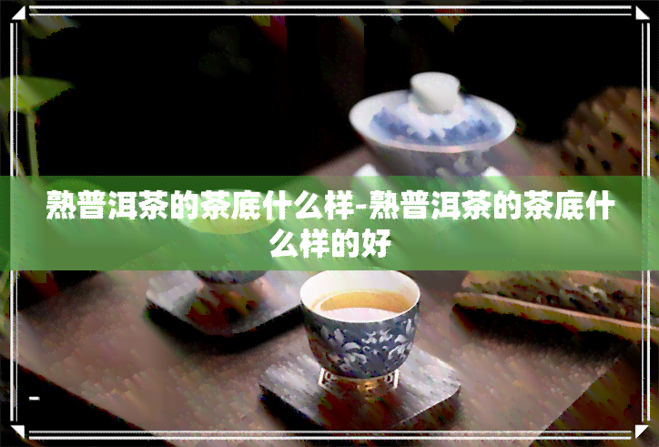 熟普洱茶的茶底什么样-熟普洱茶的茶底什么样的好