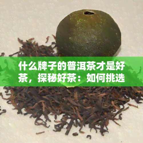 什么牌子的普洱茶才是好茶，探秘好茶：如何挑选优质的普洱茶？