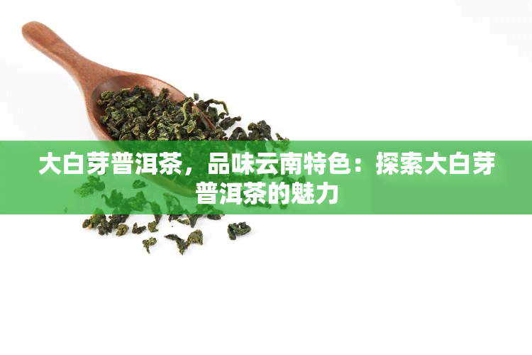 大白芽普洱茶，品味云南特色：探索大白芽普洱茶的魅力