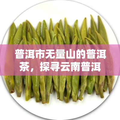 普洱市无量山的普洱茶，探寻云南普洱市无量山的普洱茶文化之旅