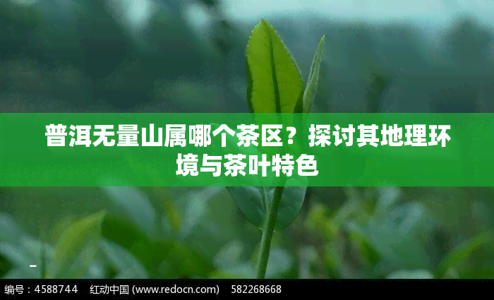 普洱无量山属哪个茶区？探讨其地理环境与茶叶特色