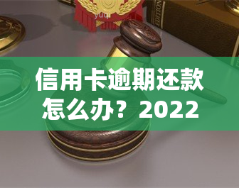 信用卡逾期还款怎么办？2022年完整流程及手续指南