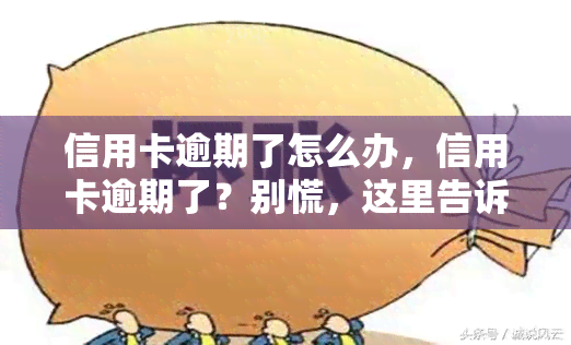 信用卡逾期了怎么办，信用卡逾期了？别慌，这里告诉你怎么办！