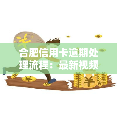 合肥信用卡逾期处理流程：最新视频与垫还电话全攻略