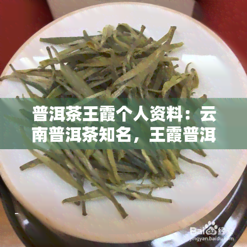 普洱茶王霞个人资料：云南普洱茶知名，王霞普洱茶业及监制普洱茶的价格介绍