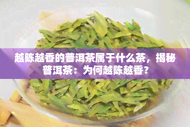 越陈越香的普洱茶属于什么茶，揭秘普洱茶：为何越陈越香？