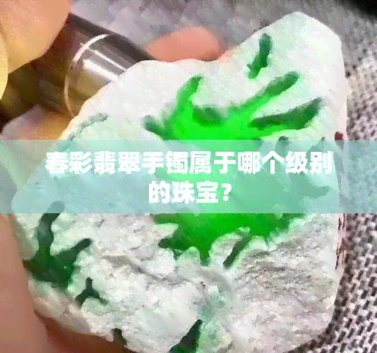 春彩翡翠手镯属于哪个级别的珠宝？