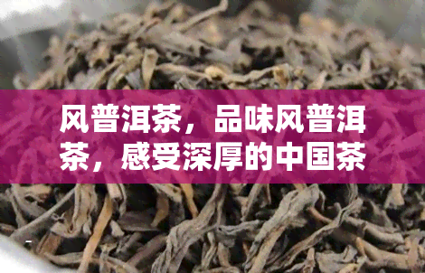 风普洱茶，品味风普洱茶，感受深厚的中国茶文化