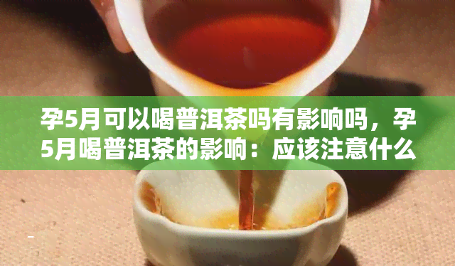 孕5月可以喝普洱茶吗有影响吗，孕5月喝普洱茶的影响：应该注意什么？