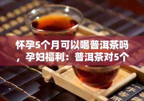 怀孕5个月可以喝普洱茶吗，孕妇福利：普洱茶对5个月的胎儿有何影响？