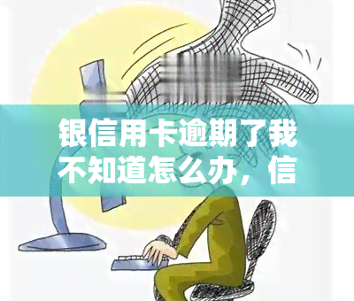 银信用卡逾期了我不知道怎么办，信用卡逾期了，我该怎么办？