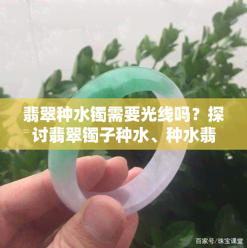 翡翠种水镯需要光线吗？探讨翡翠镯子种水、种水翡翠手镯以及颜色对价值的影响