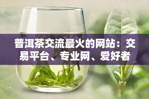 普洱茶交流最火的网站：交易平台、专业网、爱好者群一应俱全，尽在我们的中！