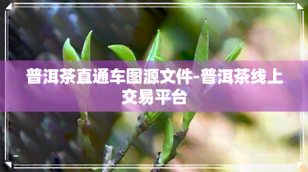 普洱茶直通车图源文件-普洱茶线上交易平台