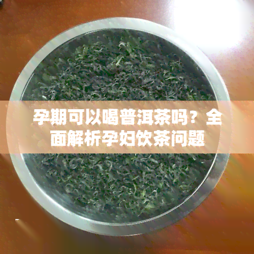 孕期可以喝普洱茶吗？全面解析孕妇饮茶问题