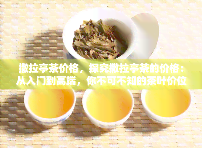 撒拉亭茶价格，探究撒拉亭茶的价格：从入门到高端，你不可不知的茶叶价位解析