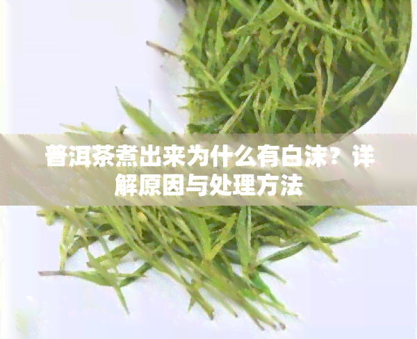 普洱茶煮出来为什么有白沫？详解原因与处理方法