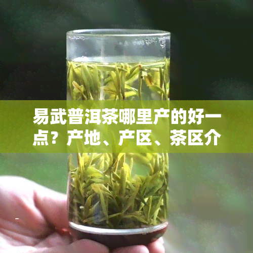 易武普洱茶哪里产的好一点？产地、产区、茶区介绍及排名，品味其独特口感特点