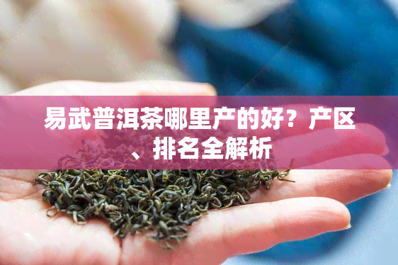 易武普洱茶哪里产的好？产区、排名全解析