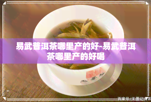 易武普洱茶哪里产的好-易武普洱茶哪里产的好喝