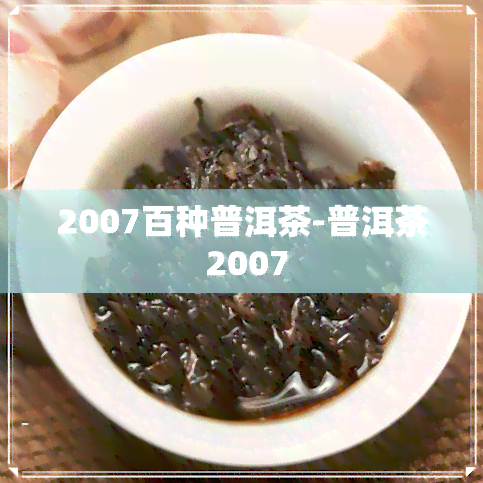 2007百种普洱茶-普洱茶 2007