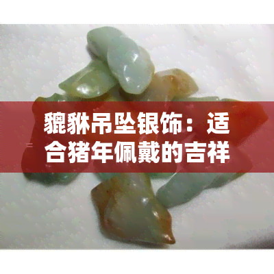 貔貅吊坠银饰：适合猪年佩戴的吉祥饰品选购指南