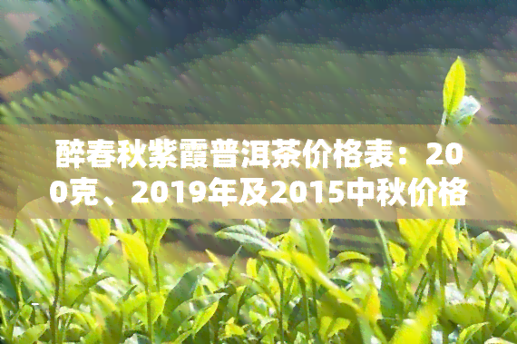 醉春秋紫霞普洱茶价格表：200克、2019年及2015中秋价格一览