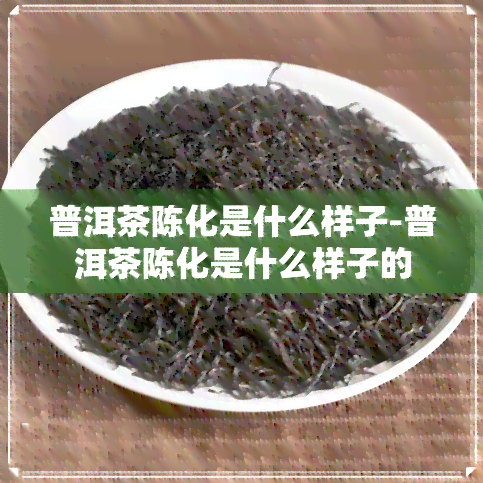 普洱茶陈化是什么样子-普洱茶陈化是什么样子的