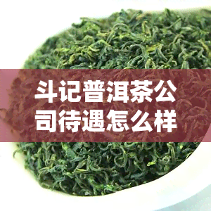 斗记普洱茶公司待遇怎么样，揭秘斗记普洱茶公司待遇：你是否想加入？