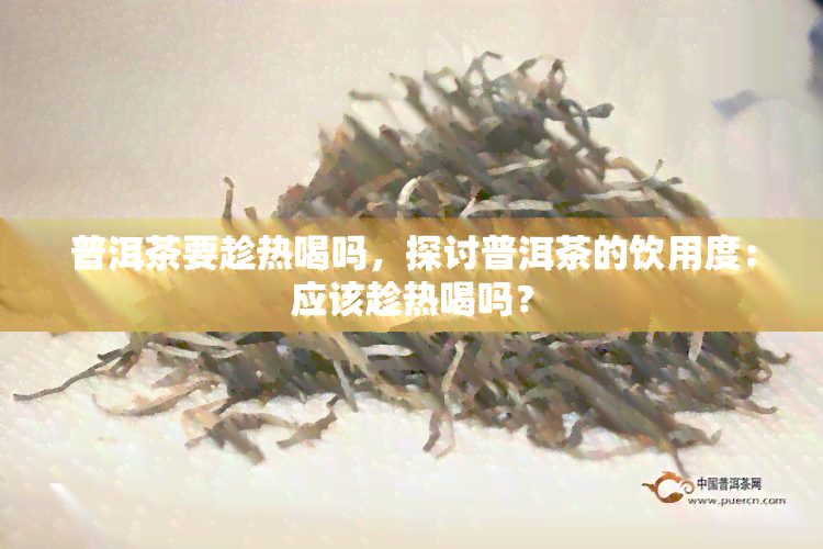 普洱茶要趁热喝吗，探讨普洱茶的饮用度：应该趁热喝吗？