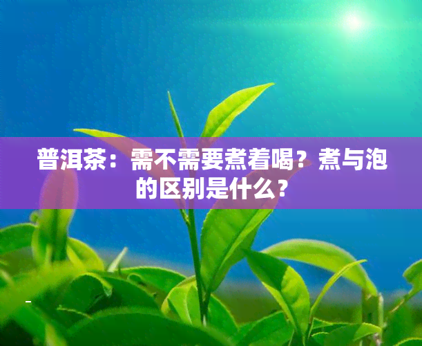 普洱茶：需不需要煮着喝？煮与泡的区别是什么？