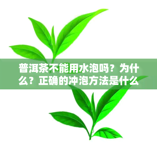 普洱茶不能用水泡吗？为什么？正确的冲泡方法是什么？