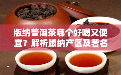 版纳普洱茶哪个好喝又便宜？解析版纳产区及著名茶山、与公司，附茶山头分布图