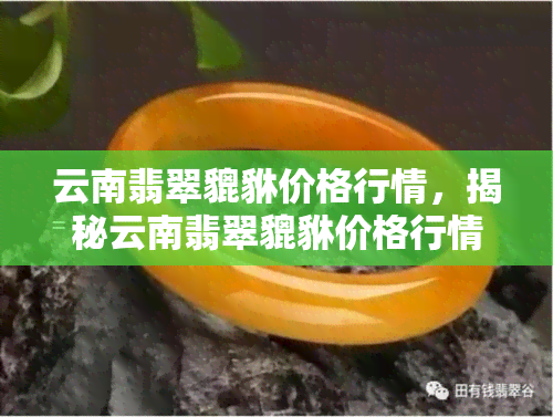 云南翡翠貔貅价格行情，揭秘云南翡翠貔貅价格行情，你不可不知的珠宝市场动态！