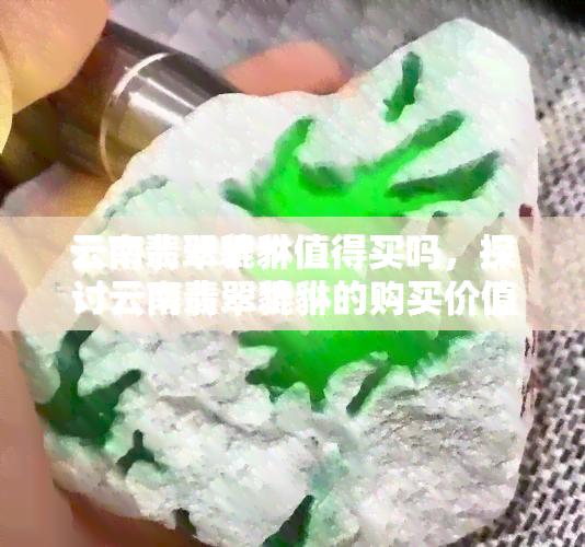 云南翡翠貔貅值得买吗，探讨云南翡翠貔貅的购买价值：是否值得入手？