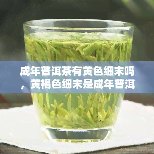 成年普洱茶有黄色细末吗，黄褐色细末是成年普洱茶的正常特征吗？