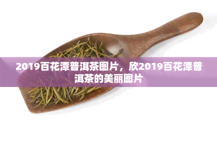 2019百花潭普洱茶图片，欣2019百花潭普洱茶的美丽图片