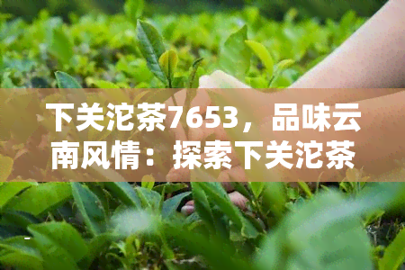 下关沱茶7653，品味云南风情：探索下关沱茶7653的独特魅力