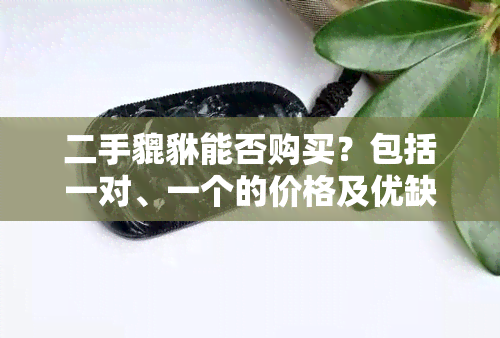 二手貔貅能否购买？包括一对、一个的价格及优缺点分析