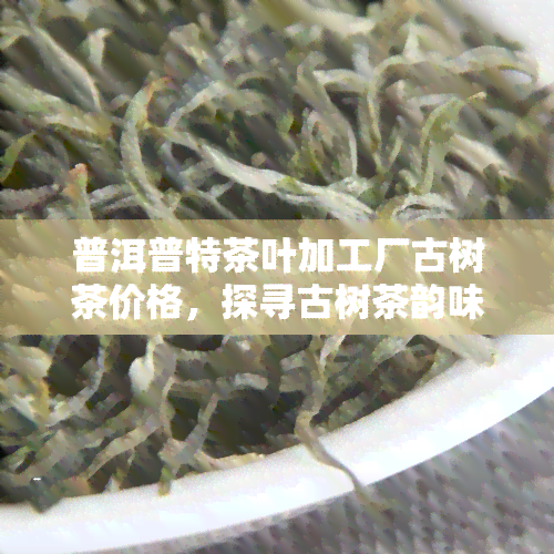 普洱普特茶叶加工厂古树茶价格，探寻古树茶韵味：普洱普特茶叶加工厂的最新价格一览