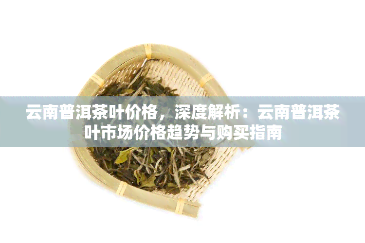 云南普洱茶叶价格，深度解析：云南普洱茶叶市场价格趋势与购买指南