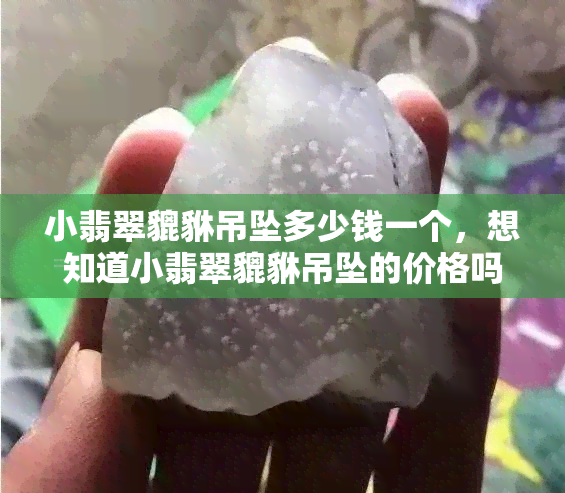 小翡翠貔貅吊坠多少钱一个，想知道小翡翠貔貅吊坠的价格吗？快来了解一下！