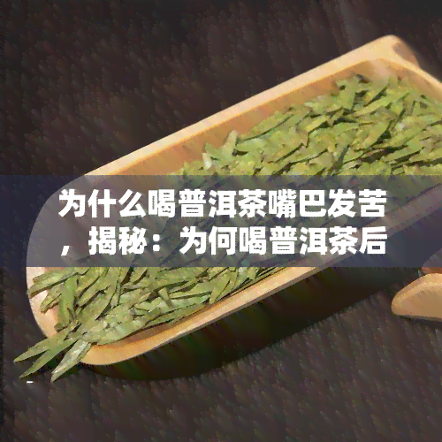 为什么喝普洱茶嘴巴发苦，揭秘：为何喝普洱茶后嘴巴会感到苦涩？