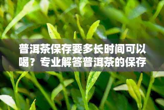 普洱茶保存要多长时间可以喝？专业解答普洱茶的保存期限与保质期