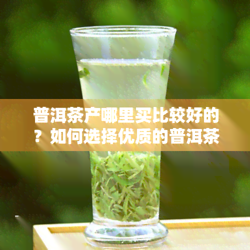 普洱茶产哪里买比较好的？如何选择优质的普洱茶？